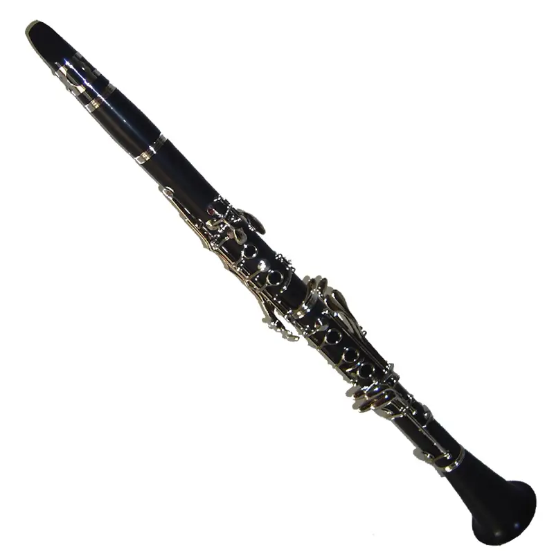 Ebony Bb Clarinet XCL109 1