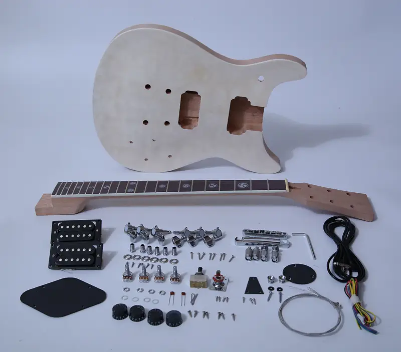 PRS Electric Guitar Kits SNGK003 1