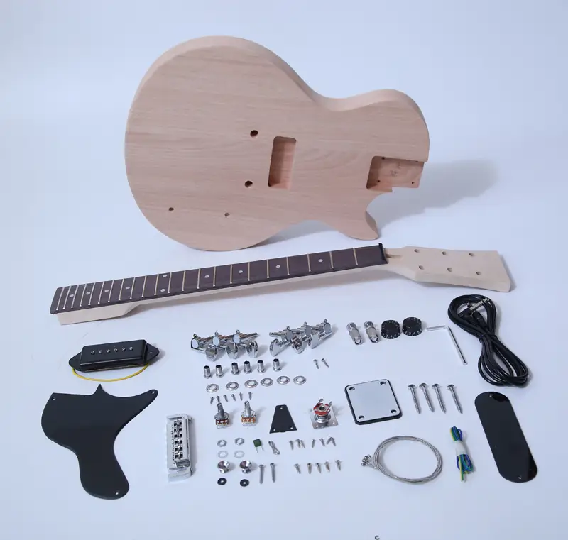 Chinese Electric Guitar Kits SNGK028 1