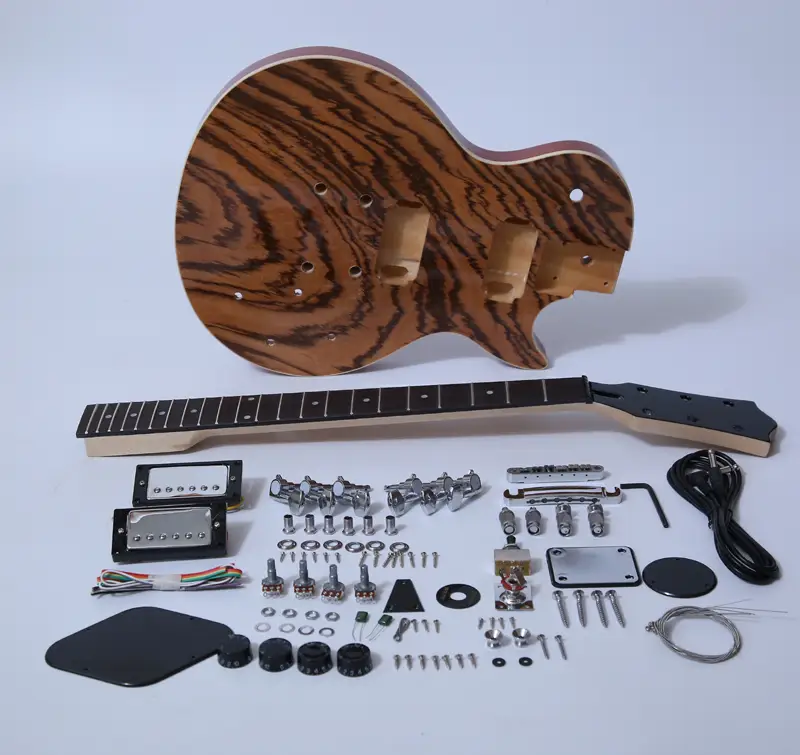 Electric Guitar Kits-Painting SNGKF001 1