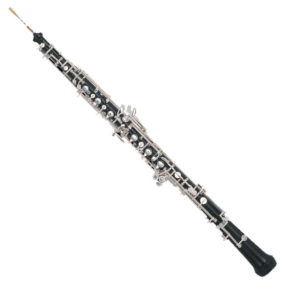 Ebony Oboe XOB003 1