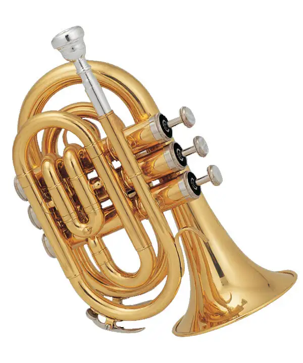 Pocket Trumpet XTR002 1