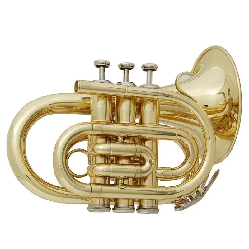 Big Bell Pocket Trumpet XTR002B 1