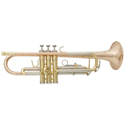 Estudante de alto nível Trumpet XTR057 1