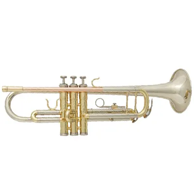 New trumpet music instrument xtr002b design for student 1