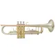 New trumpet music instrument xtr002b design for student 1