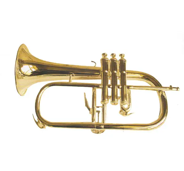 Flugelhorn XTR020 1