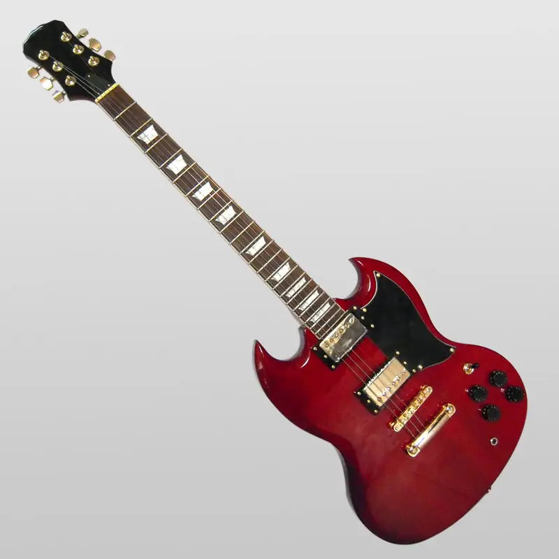 Custom Electric Guitar SNSG003 1