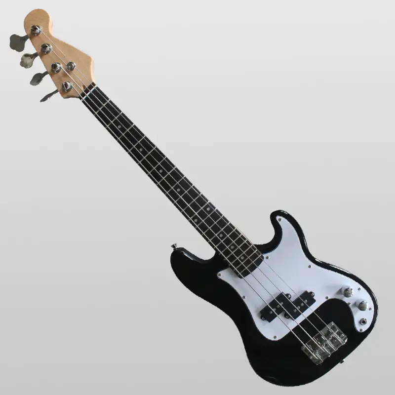 Electric Bass guitar SNEB024 customization 1