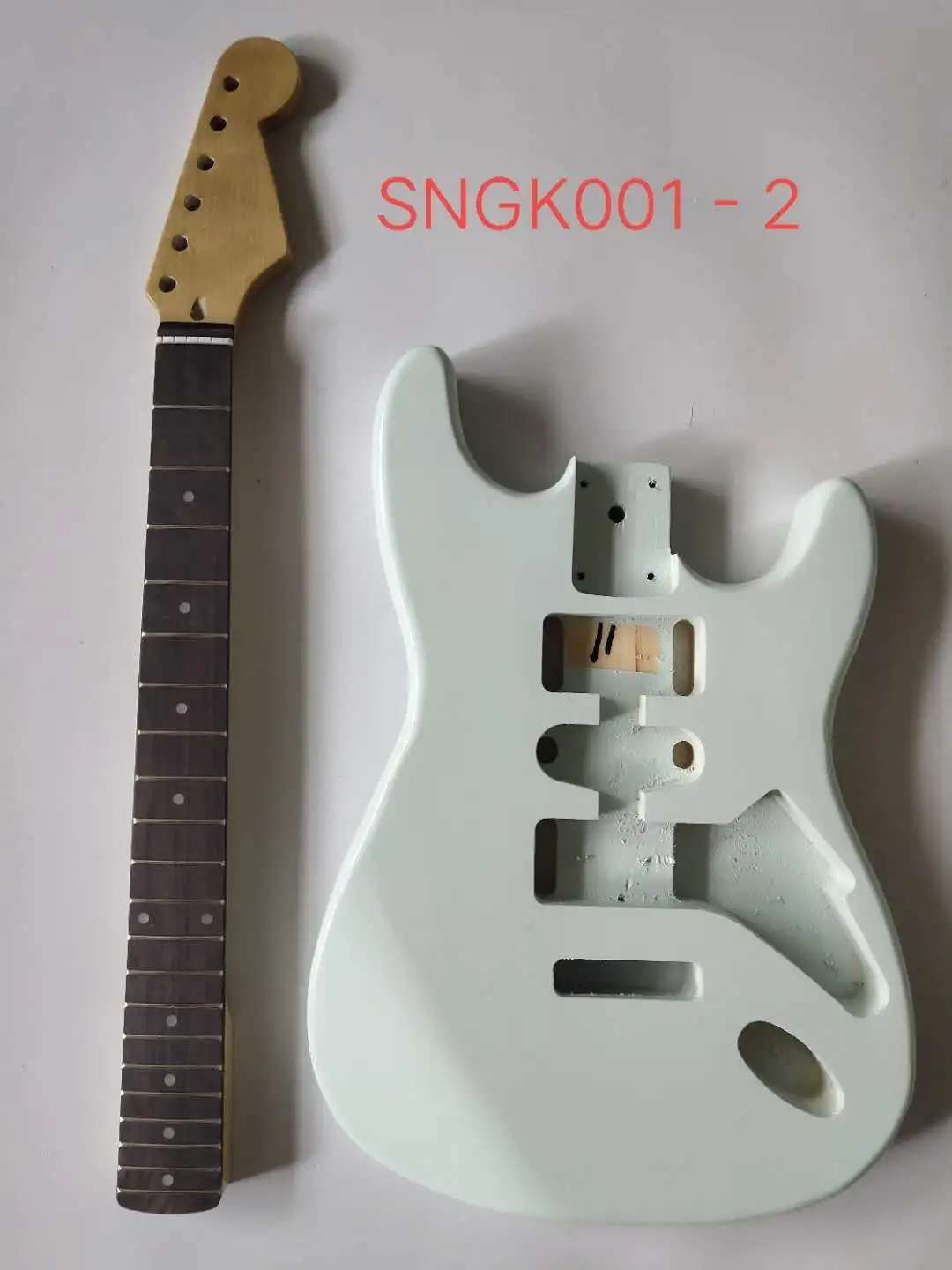 SNGK001-2 ST Guitar Kits with Paiting 1
