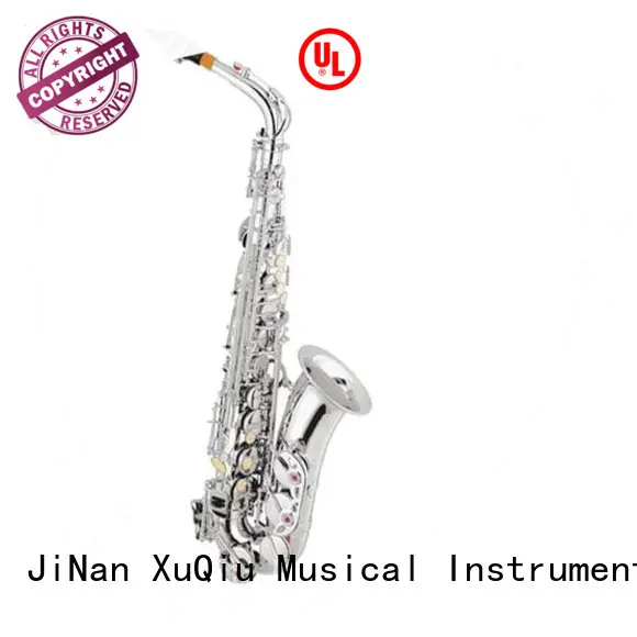 professional cheap alto saxophone brands for beginner 1