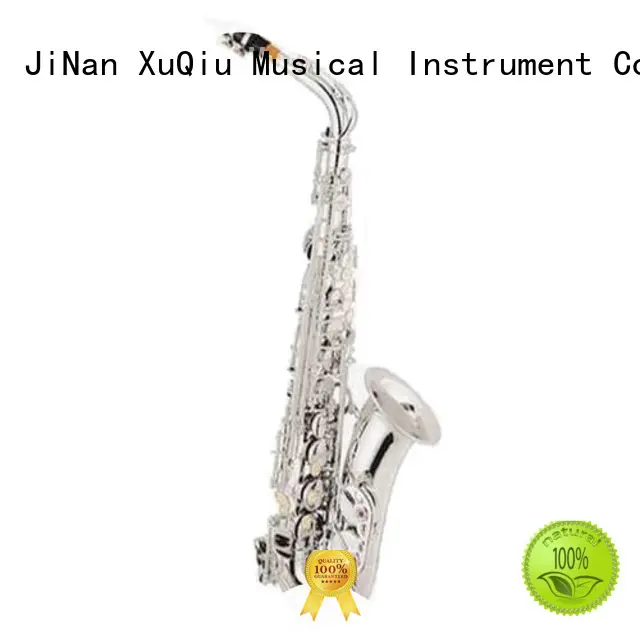 best beginner alto saxophone brands for concert 1
