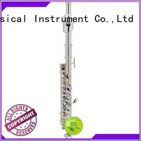 best piccolo musical instrument price for children 1