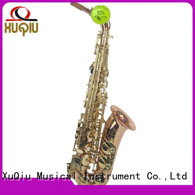 custom cheap alto saxophone brands for beginner 1