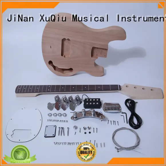 electric acoustic bass kit manufacturer for concert 1