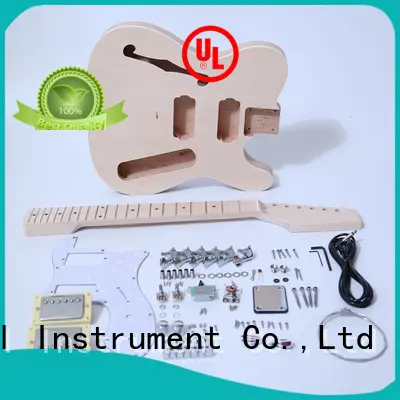 best guitar kits supplier for beginner 1