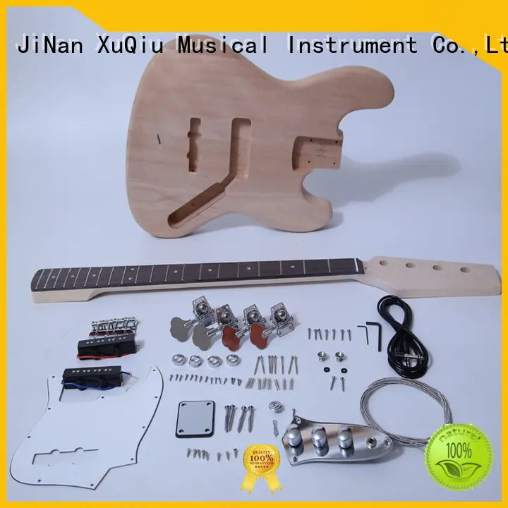 diy bass kits for sale for kids 1