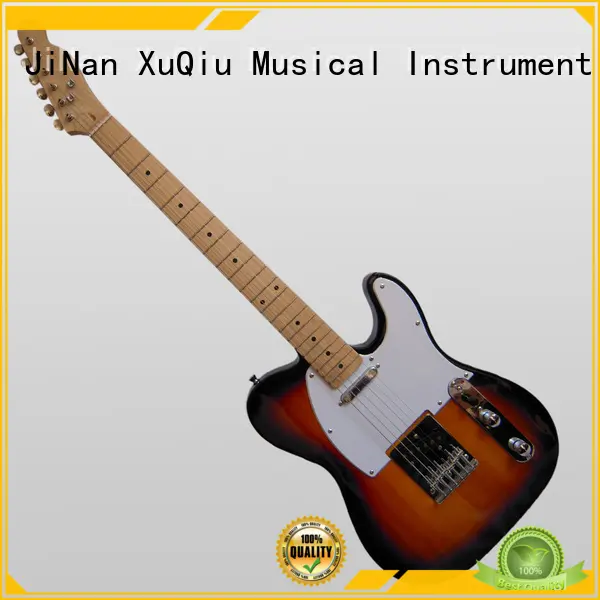 cool 6 string electric guitar manufacturer for student 1