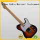 cool 6 string electric guitar manufacturer for student 1