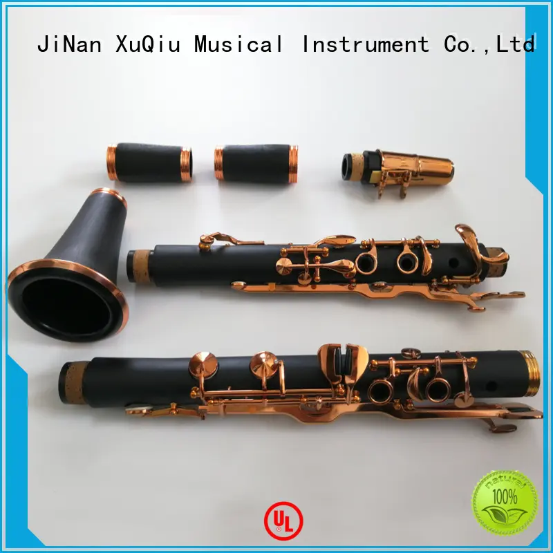 XuQiu types of clarinets for sale for kids 1