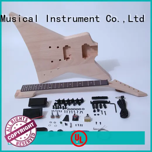 best 12 string electric guitar kit manufacturer for performance 1