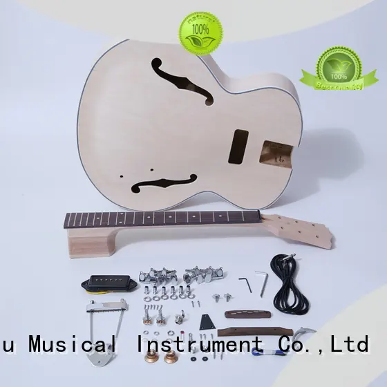 best semi hollow body guitar kit manufacturer for beginner 1