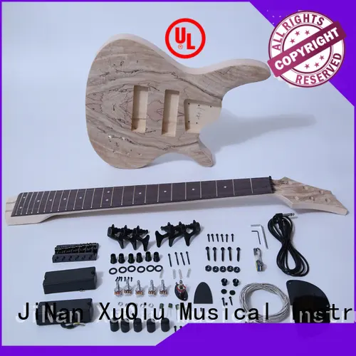 diy diy bass kit for sale for beginner 1