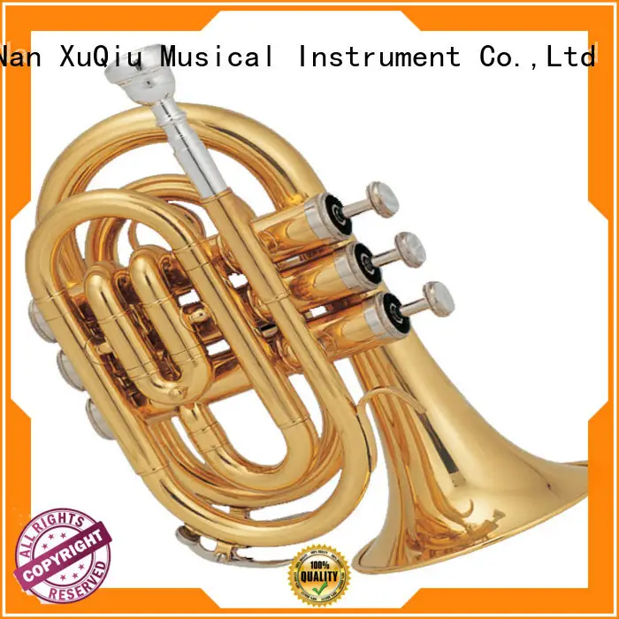 XuQiu best b flat trumpet price for beginner 1
