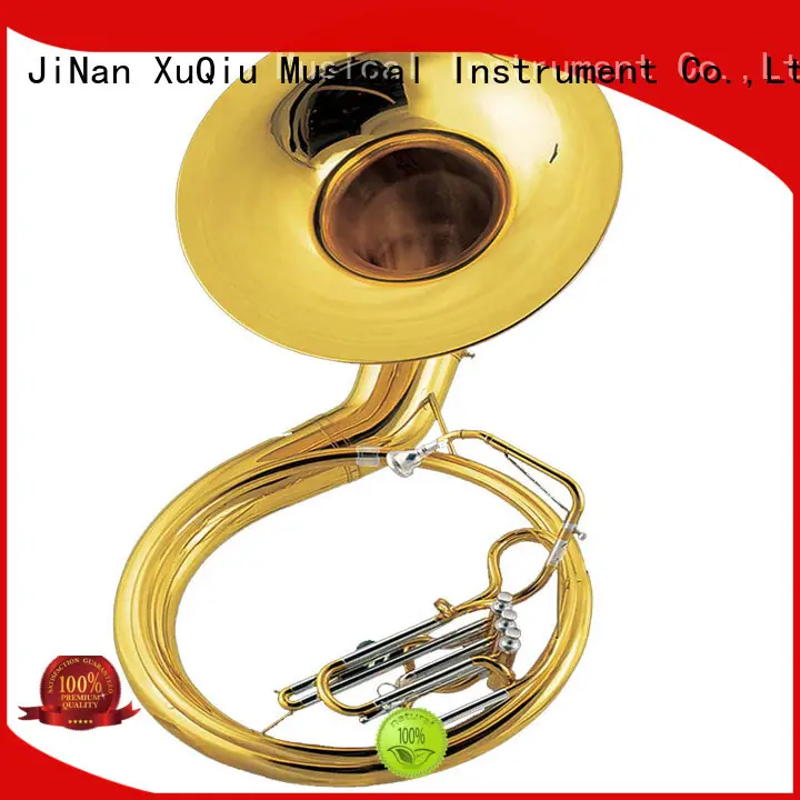 best sousaphone instrument price for kids 1