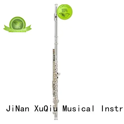 best c flute musical instrument for kids 1