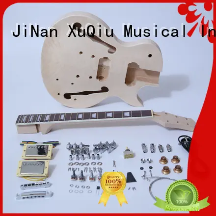 high end build your own electric guitar kit for sale for performance 1