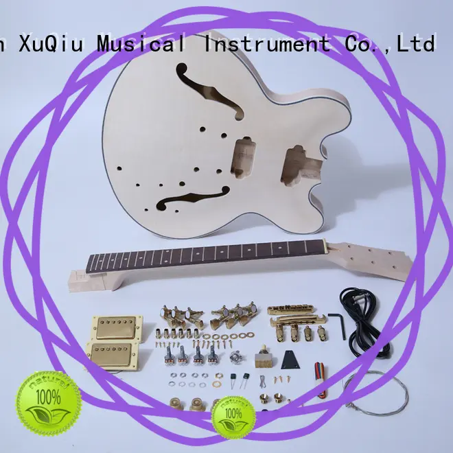 premium do it yourself guitar kits for sale for beginner 1