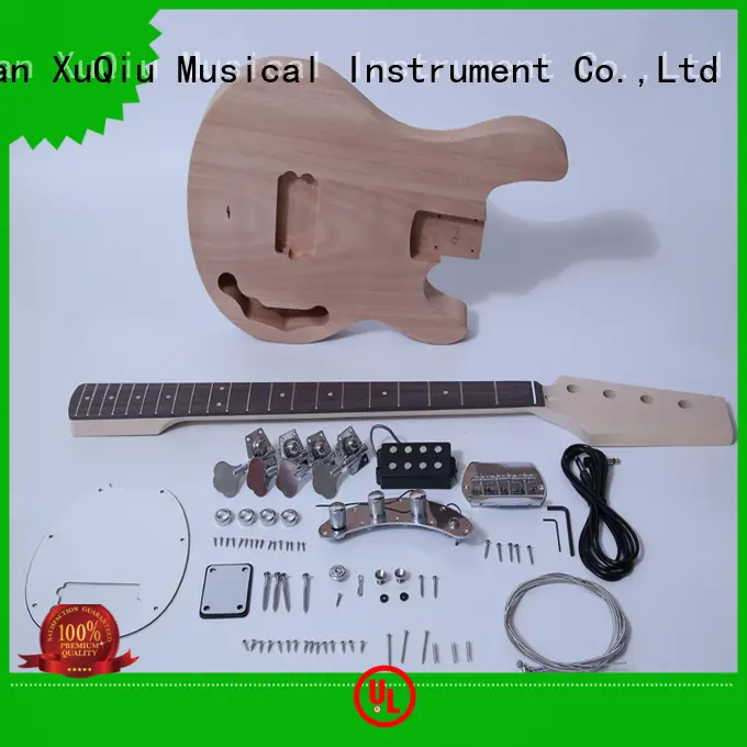 custom stingray bass kit manufacturer for competition 1