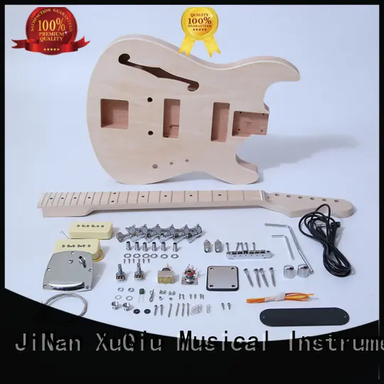 best build your own guitar kit for sale for concert 1