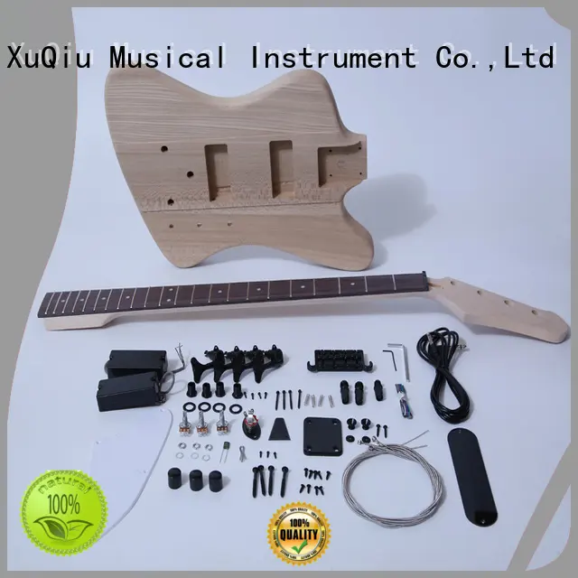 diy bass kit manufacturer for kids 1