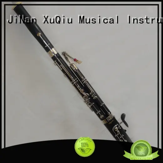 famous bassoon instrument price for beginner 1