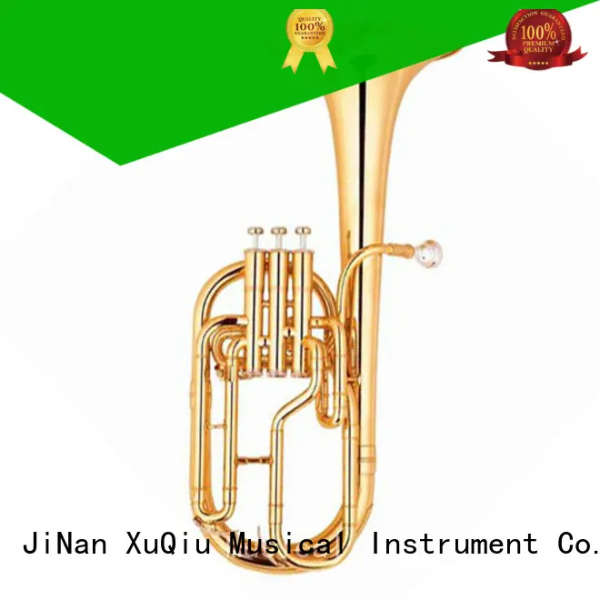 new e flat alto horn band instrument for kids 1