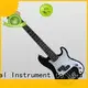 simply cool bass guitars brand for beginner 1