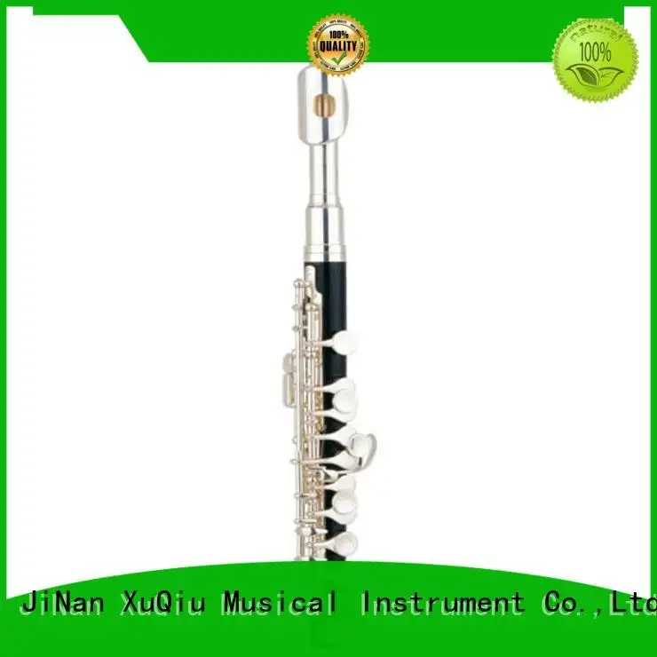 professional flute piccolo band instrument for student 1