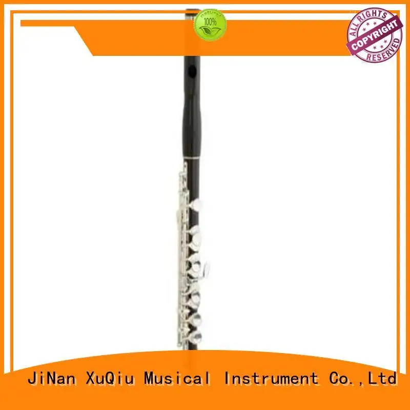 new student piccolo woodwind manufacturers for kids 1