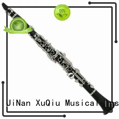 best rosewood clarinet xcl103 for sale for beginner 1