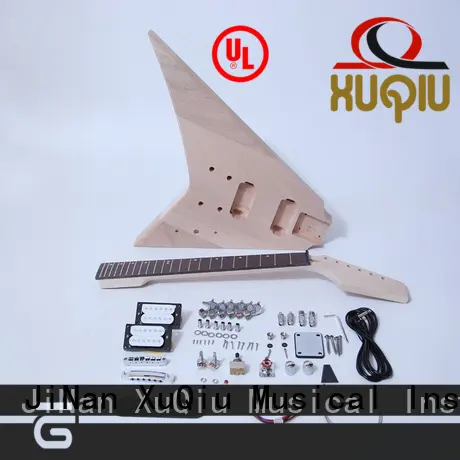 quality do it yourself guitar kits paul supplier for performance 1