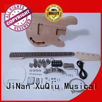 XuQiu custom stingray bass kit for sale for competition 1