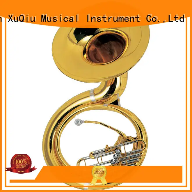 new best sousaphone xss001 price for children 1