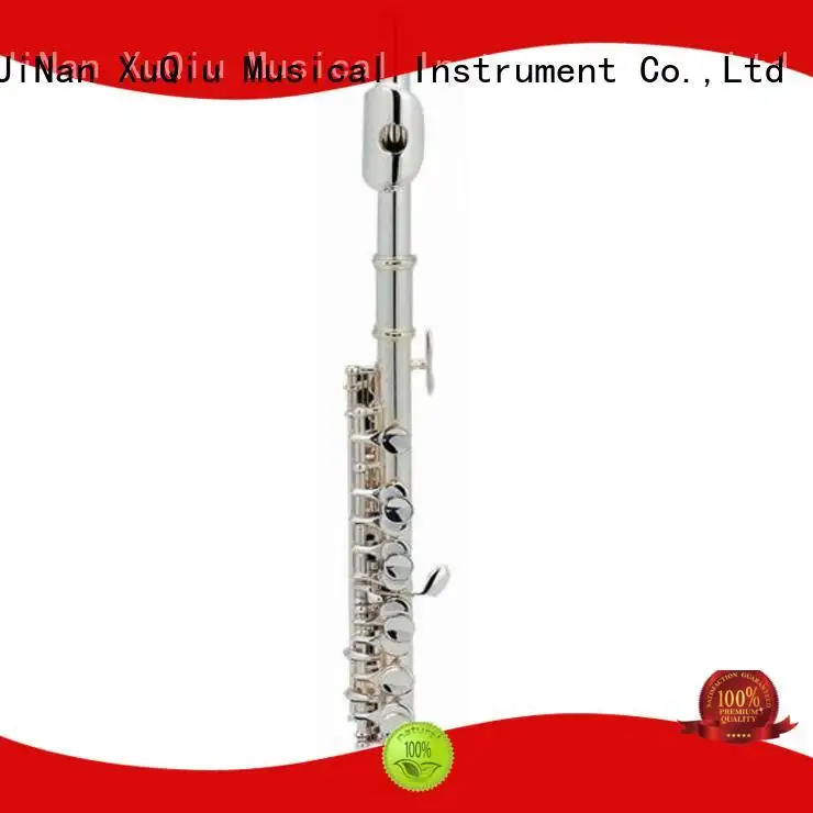 XuQiu buy professional piccolo band instrument for kids 1
