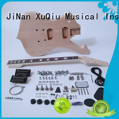 premium guitar kits sngk009 for sale for performance 1