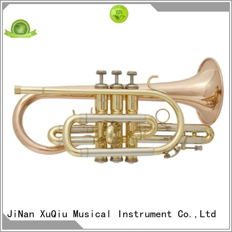 Wholesale slide trumpet cornet for sale for kids 1