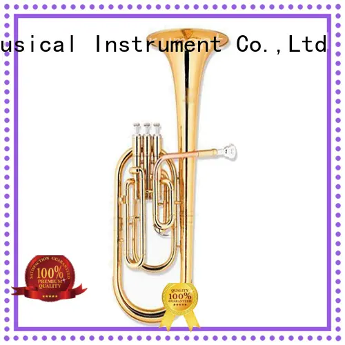 best alto horn horn band instrument for beginner 1