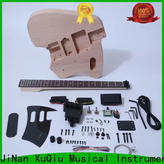 best fretwire guitar kits diy for sale for beginner 1