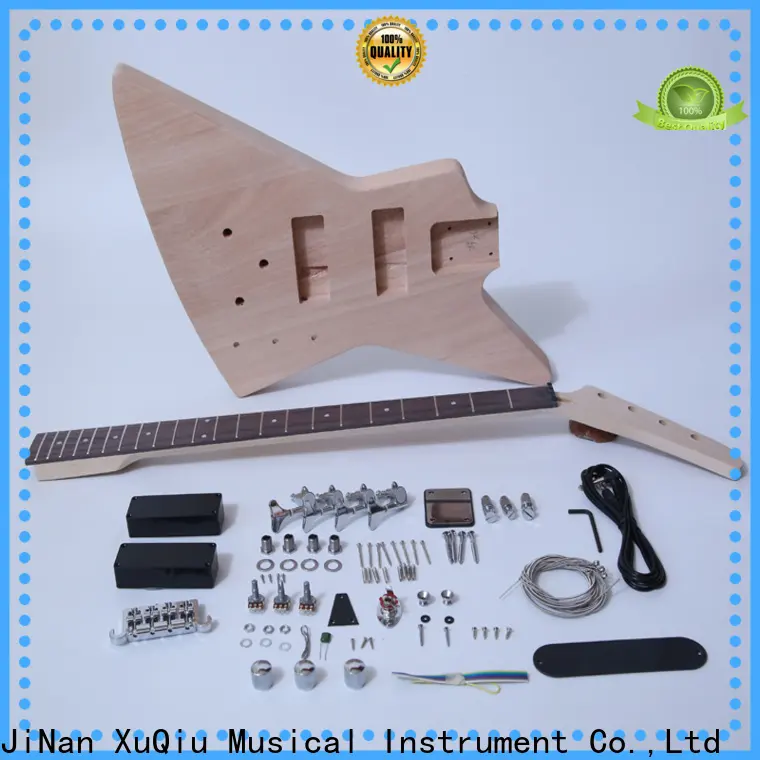 diy telecaster bass kit hollow woodwind instruments for kids 1